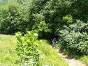 Mountain biking in Bent Creek