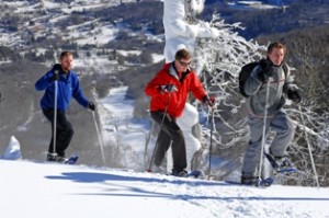 Got snowshoes? Head to the Blue Ridge Parkway.