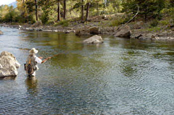 WNC Trout Fishing - Asheville NC