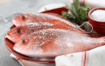 Cape Fear Seafood - Red Snapper - Asheville NC