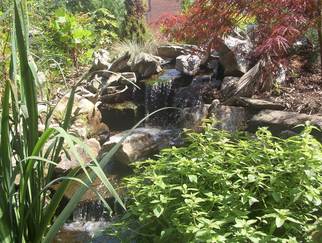 Koi Pond Waterfall - Asheville NC